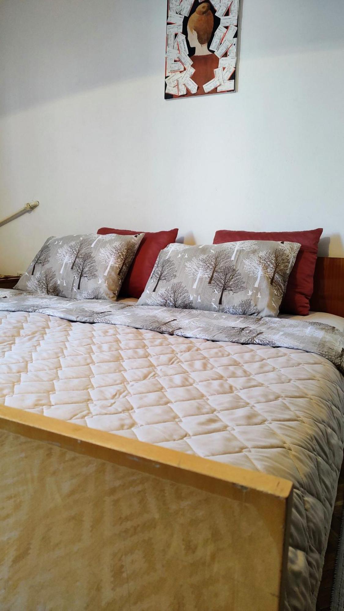 Digital Nomad Comfy Apartment,Foot Mountain Vodno And Millennium Cross,19 Min By Walk To Cener,Free Parking Szkopje Kültér fotó
